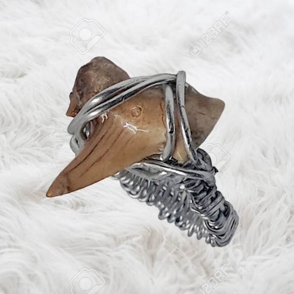 Shark Tooth Handwired Wired Ring - Picture 1 of 6
